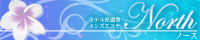 ��v�ۥ�����Y�G�X�eNorth